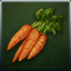 Carrot icon