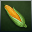 Corn icon