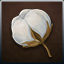 Cotton Fiber icon