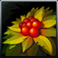 Cranberry icon