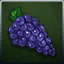 Grape icon