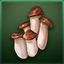 Mushroom icon
