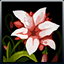 Rose Petals icon