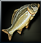 Salmon icon