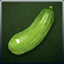 Zucchini icon